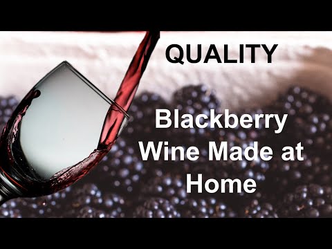 How to Make Amazing Blackberry Wine and Blackberry Brandy