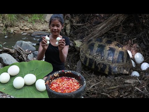 Find Turtle eggs to Cook for Food in Jungle - Turtle eggs for Food forest &amp; eating delicious Ep 38