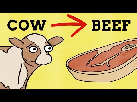 Why Do Some Animals Have Different Names When Eaten?