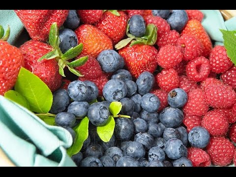 Juicing Berries &amp; It&#039;s Benefits