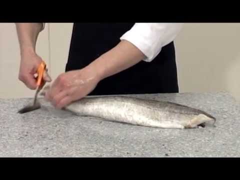 How to steak and fillet a Hake | 206