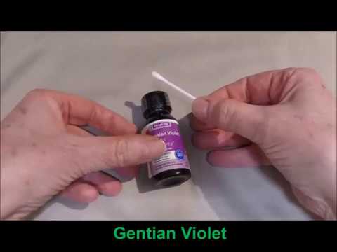 Gentian Violet Instructions