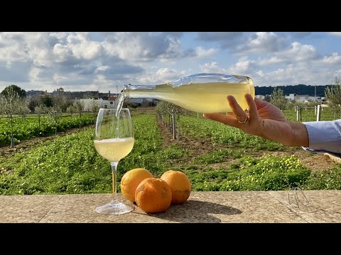 How to make ORANGE WINE at Home 🍊Homemade ORANGE WINE recipe 🍷 #orangewine