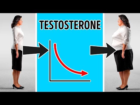 9 Hormones That Lead to Weight Gain and Ways to Avoid It