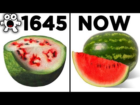 Foods That Originally Looked Totally Different