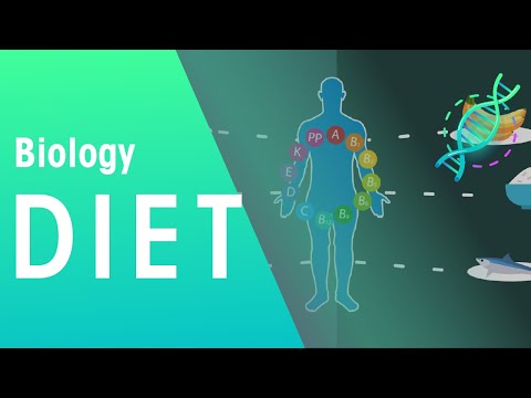 Balanced diet | Health | Biology | FuseSchool