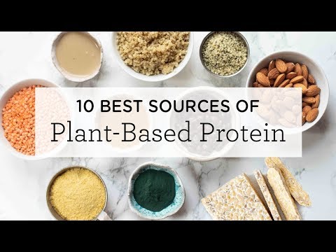 10 BEST Plant-Based Protein Sources (+ a FREE printable!)