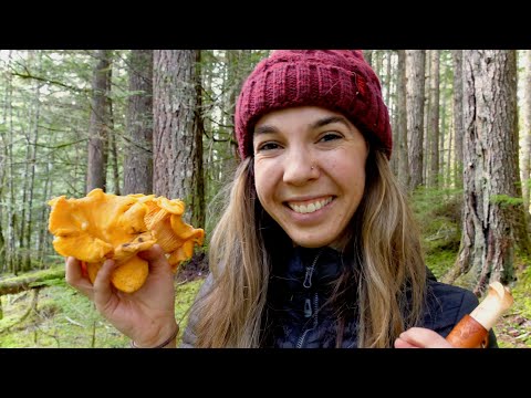 Wild Chanterelle Mushroom Hunting + The Best Way to Cook Chanterelles | Foraging in the PNW