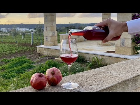 How to make POMEGRANATE WINE Homemade 🍷 Homemade Wine with 13% of Alcohol 🤪ITALIAN Style Red Wine