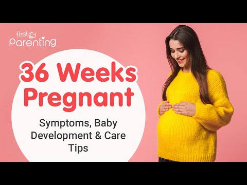 36 Weeks Pregnant - Symptoms, Baby Development, Do&#039;s and Don&#039;ts