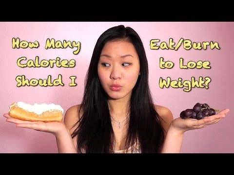 How to Count Your Calories to Lose Weight Fast and See Results! No More Excuses!