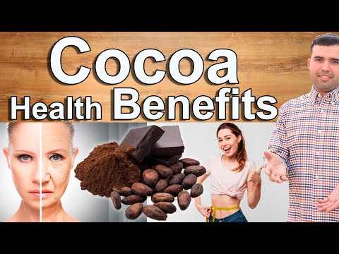 COCOA POWDER EVERY DAY - Cocoa Powder and Dark Chocolate Health Benefits and Why You Should Have It