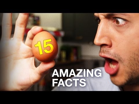 15 Amazing facts about Eggs ! Cooking, Science, Everything