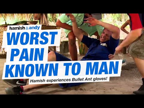 Worst Pain Known To Man | Hamish &amp; Andy