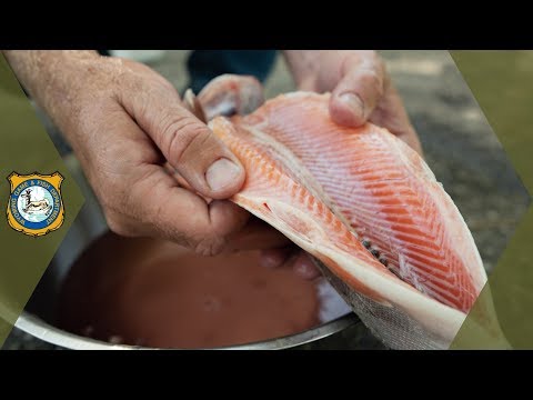 How to Clean Trout - Quick &amp; Easy