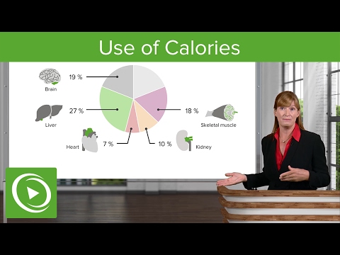 Use of Calories and Alcohol Metabolism – Nutrition | Lecturio
