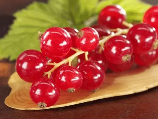 Red currant