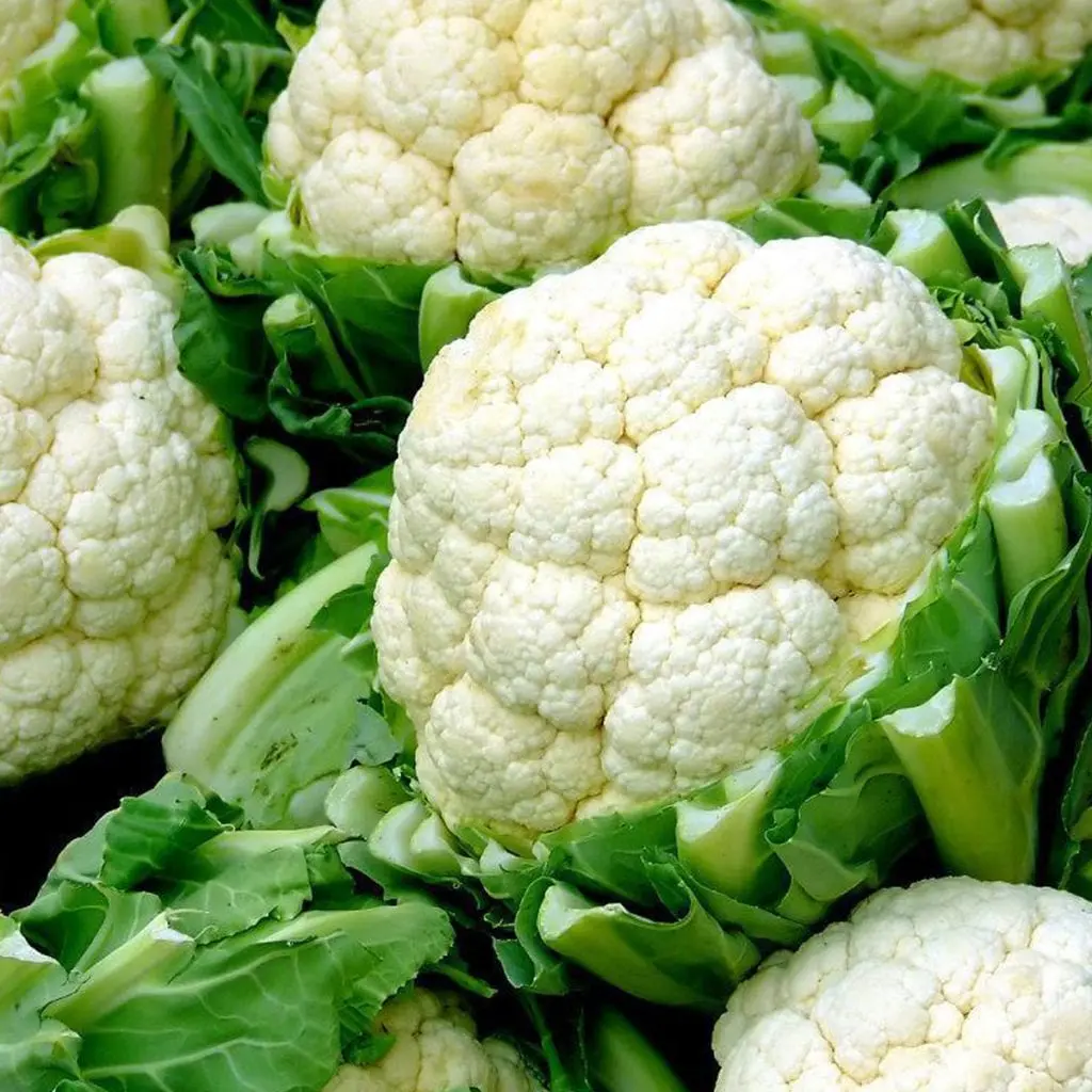 Cauliflower &#8211; how is it useful and what to cook with it