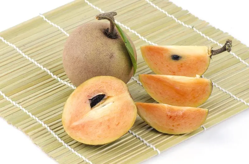 Sapodilla