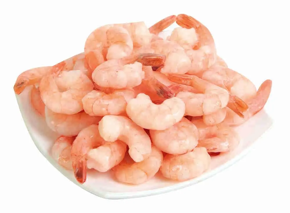 Shrimp