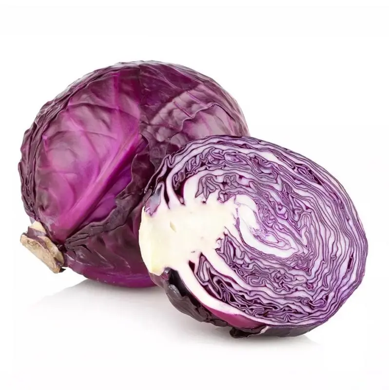 Purple cabbage