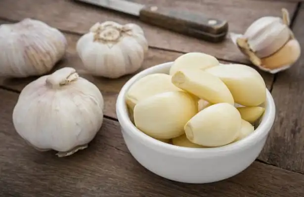 Garlic