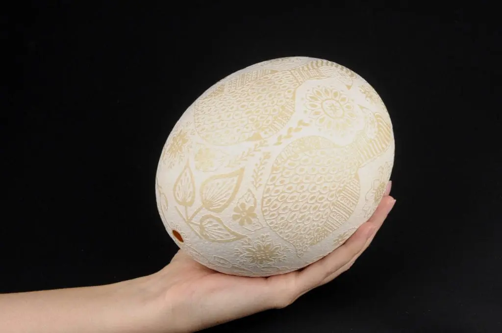 Ostrich eggs