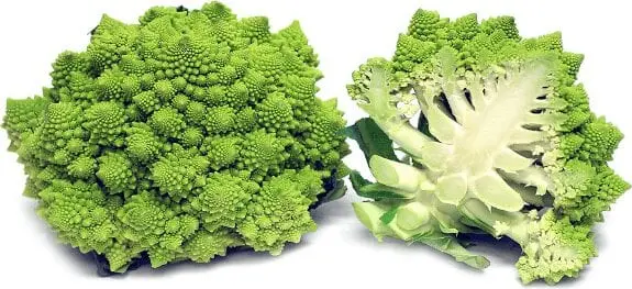 Romanesco broccoli