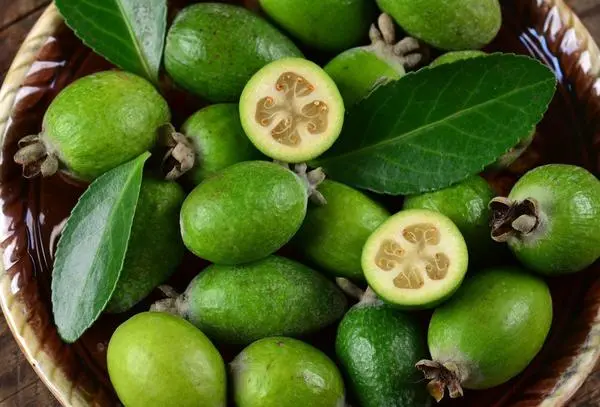 Feijoa