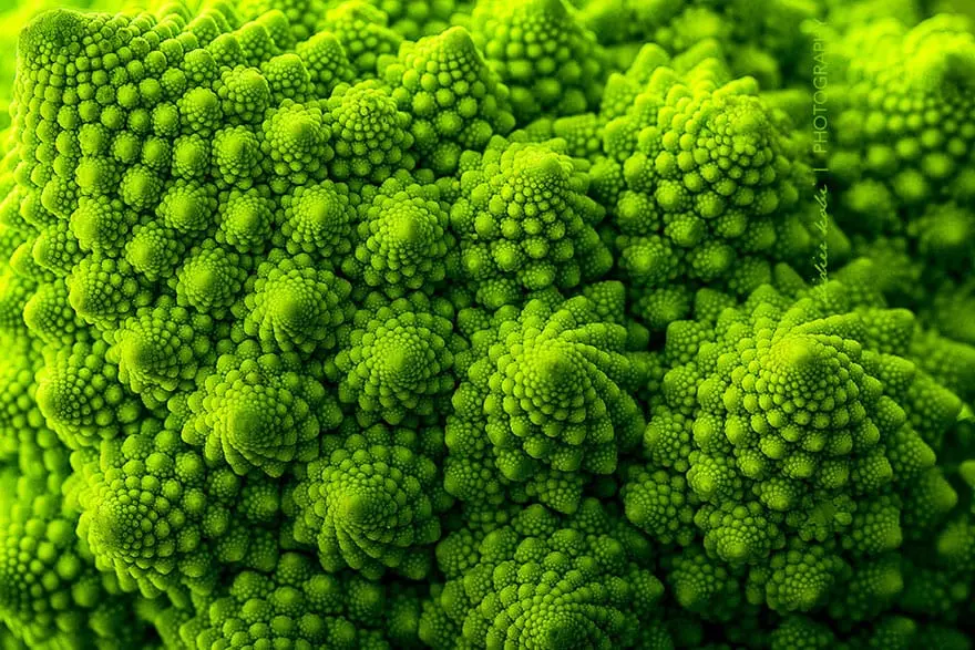 Romanesco broccoli