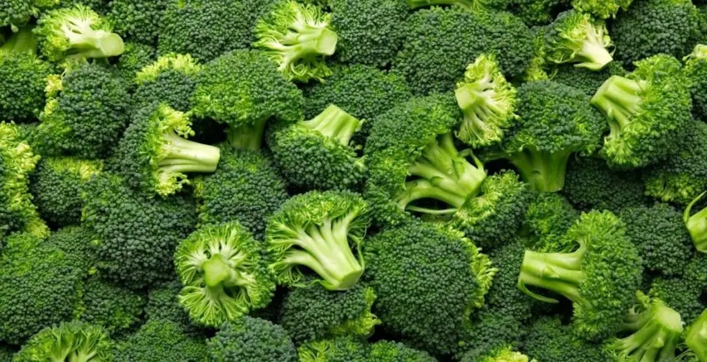 Broccoli