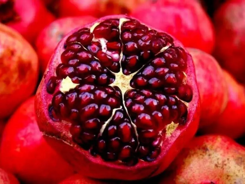 Pomegranate