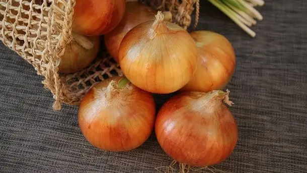 Onion