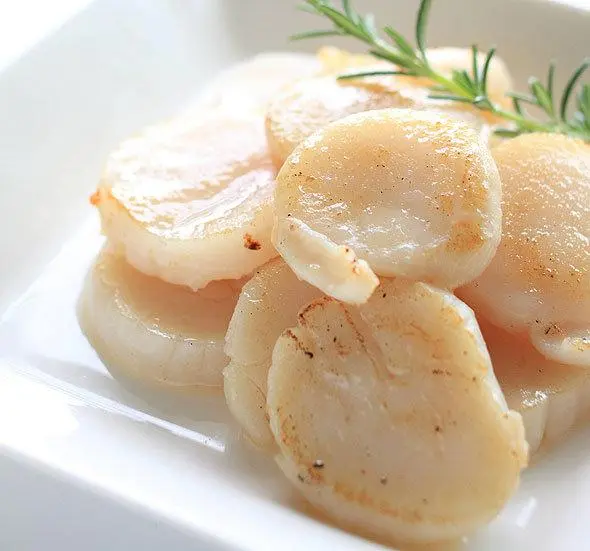 Scallops