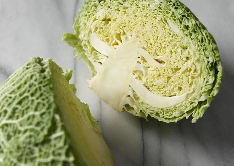 Savoy cabbage