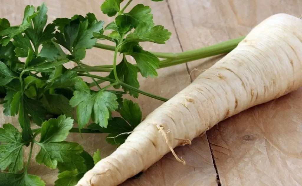 Parsnip