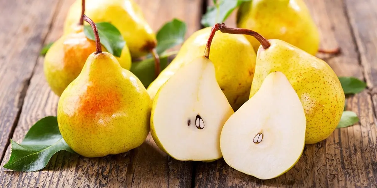 Pear &#8211; calorie content and chemical composition