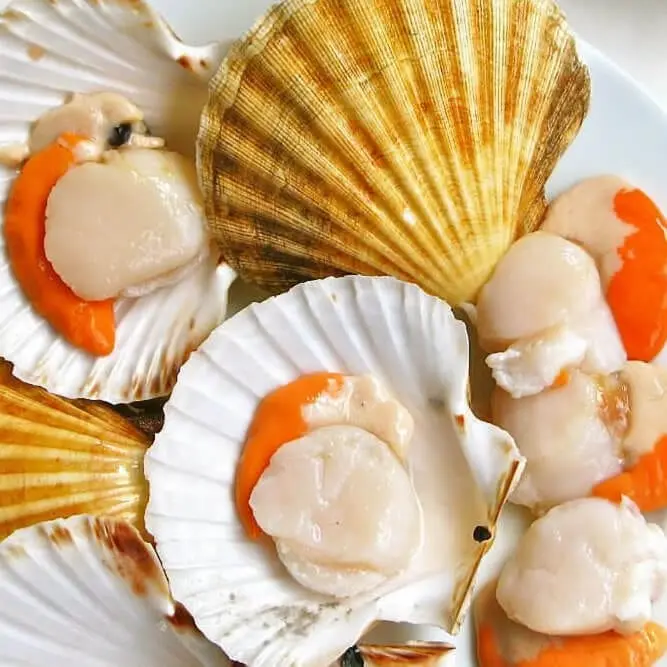 Scallops