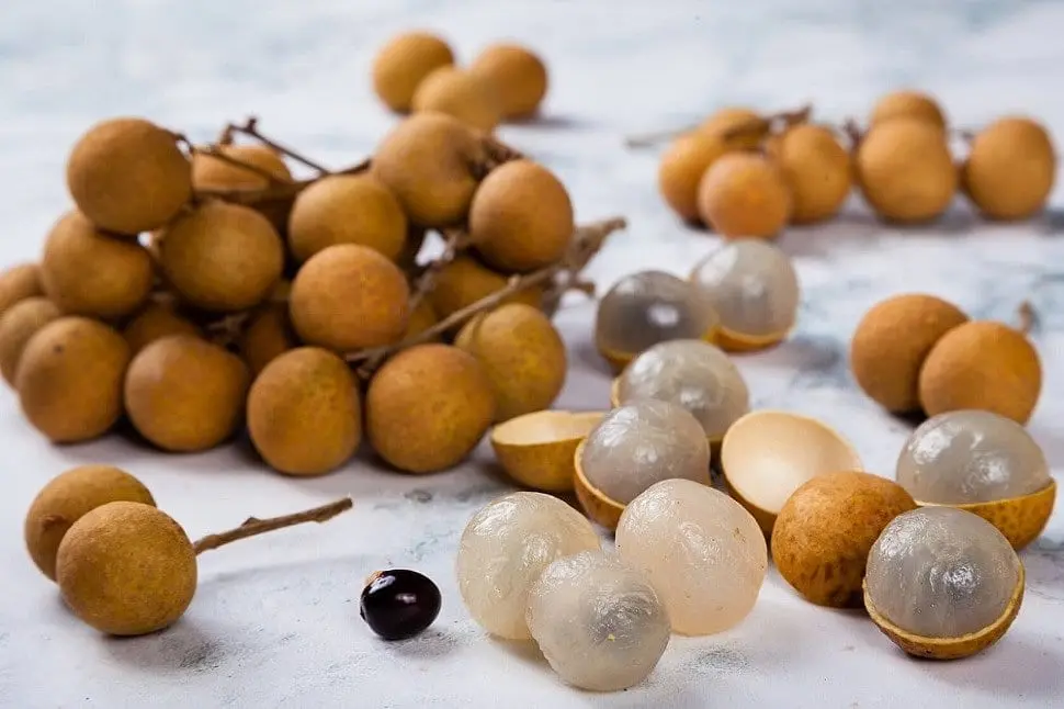 Longan &#8211; description of the fruit. Benefits and harm to human health