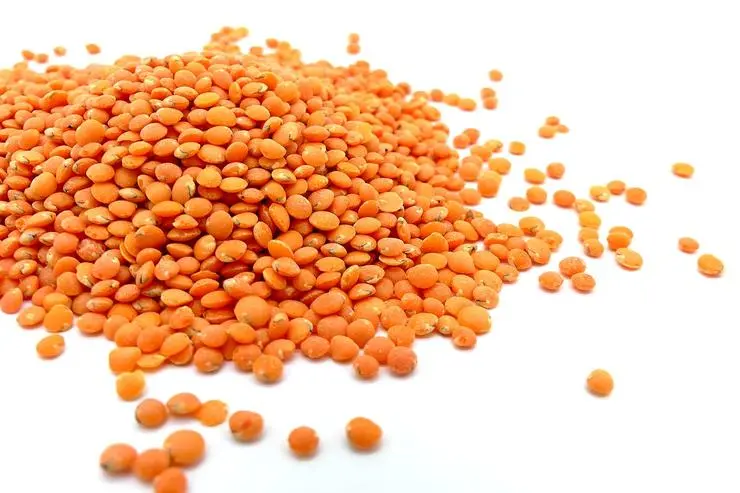 Lentils