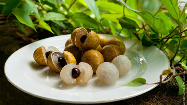 Longan &#8211; description of the fruit. Benefits and harm to human health