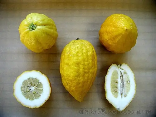 Citron