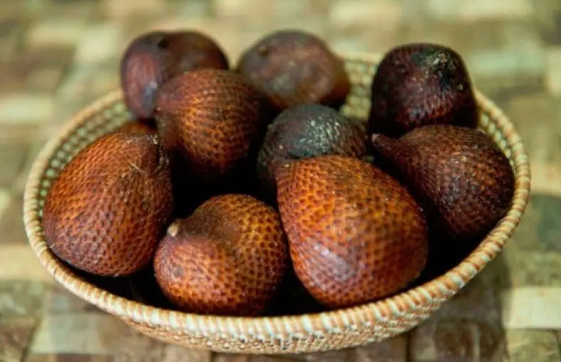 Salak (snake fruit)