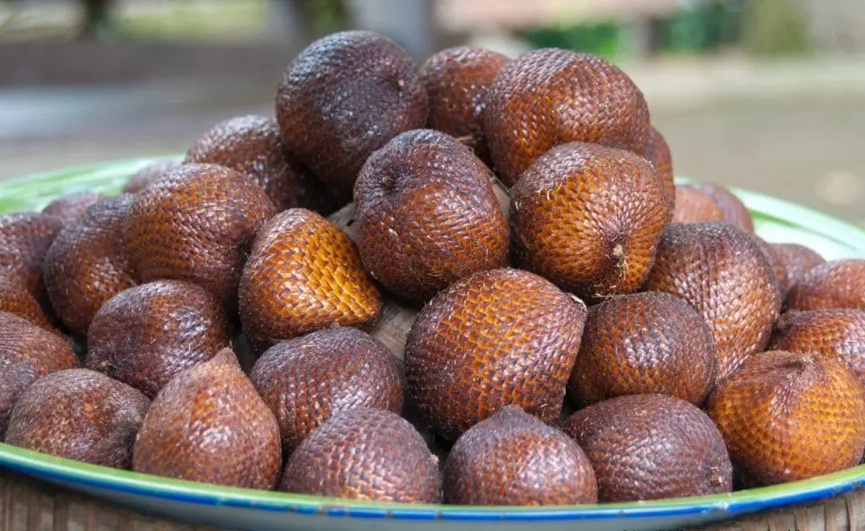 Salak (snake fruit)