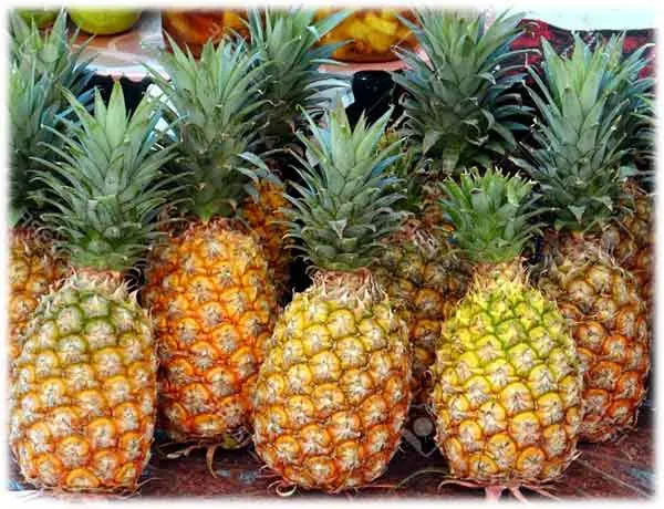 Pineapple