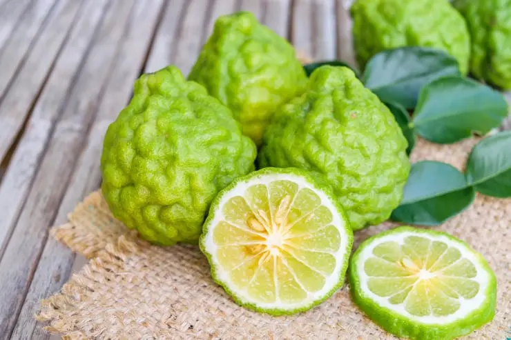 Bergamot