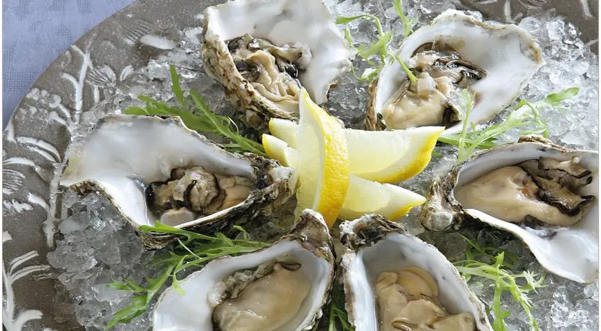 Oysters