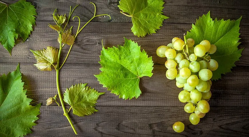 Grapes