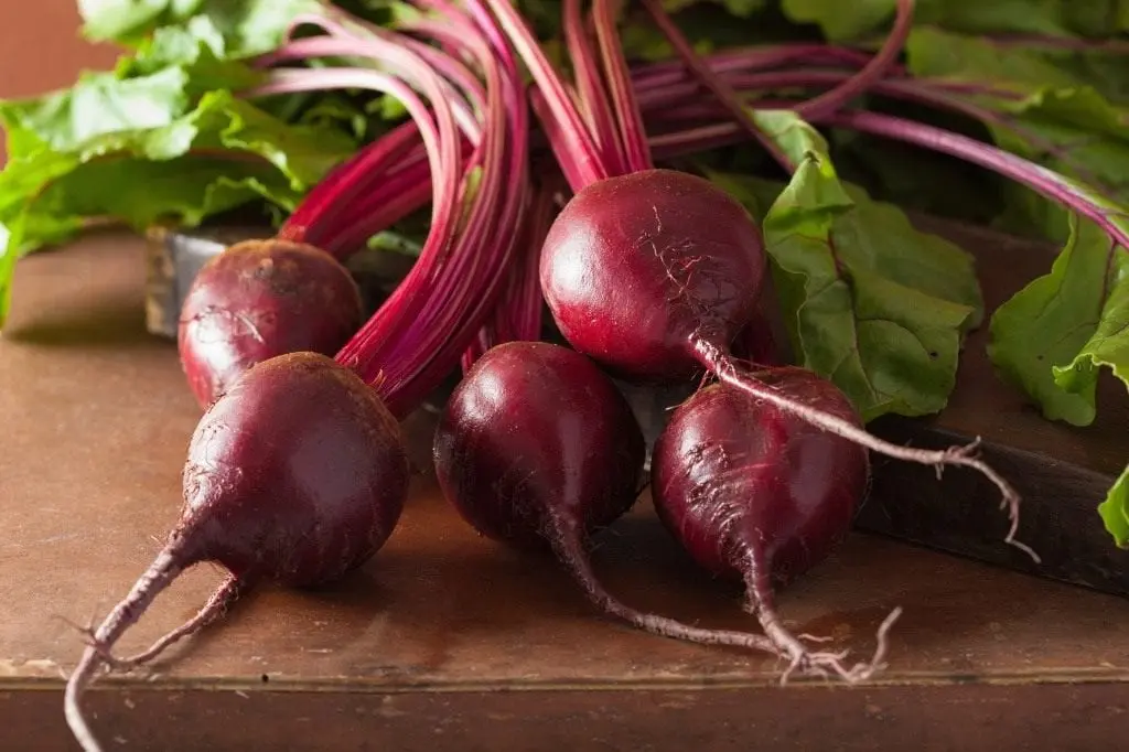 Beet