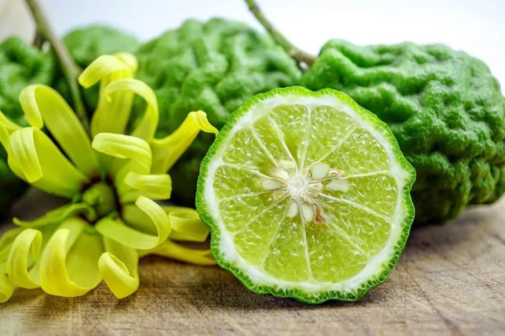 Bergamot